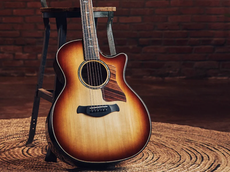 Taylor Guitars | ギターとアクセサリーを買う